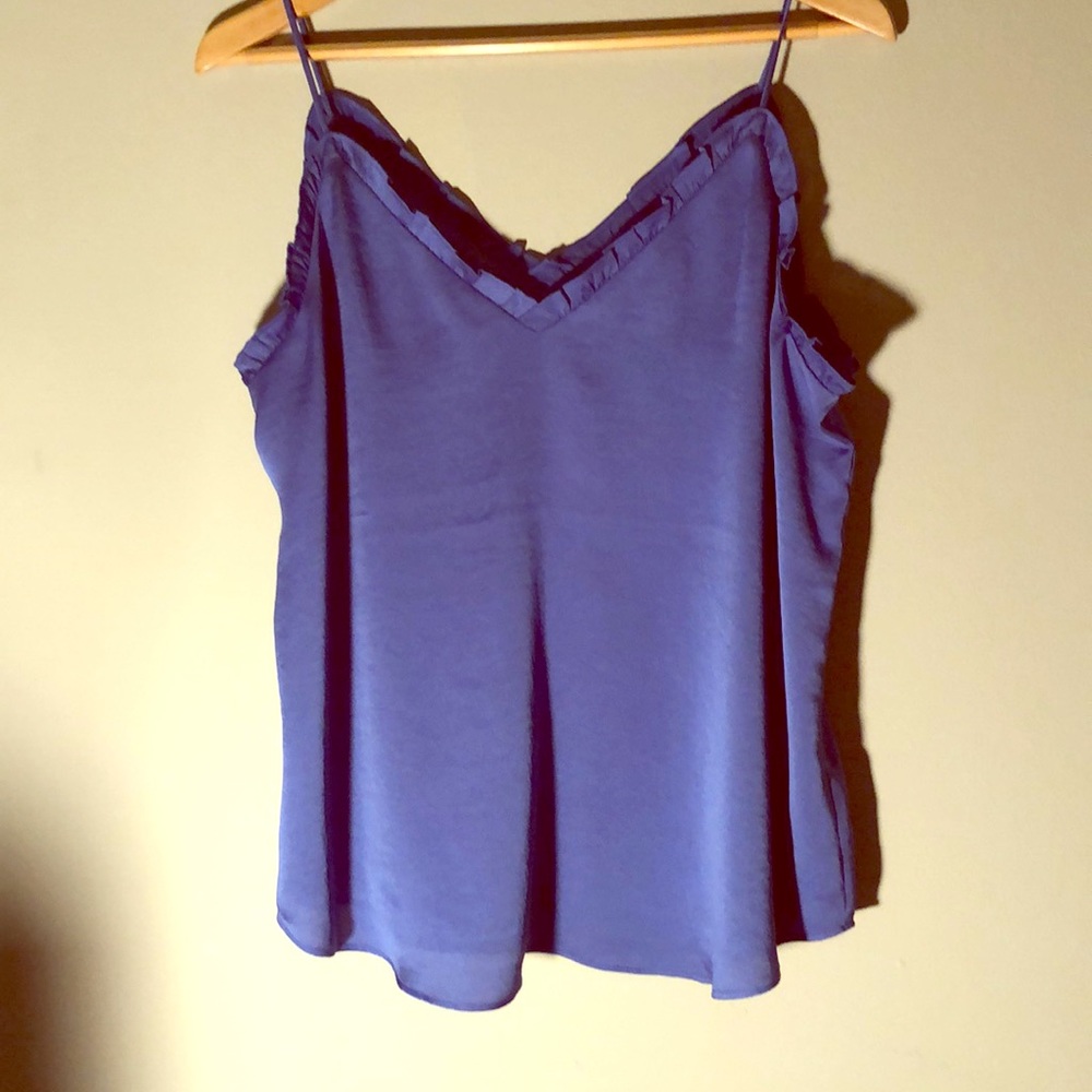 Express L Blue Cami